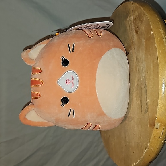 Squishmallows Other - Squishmallows